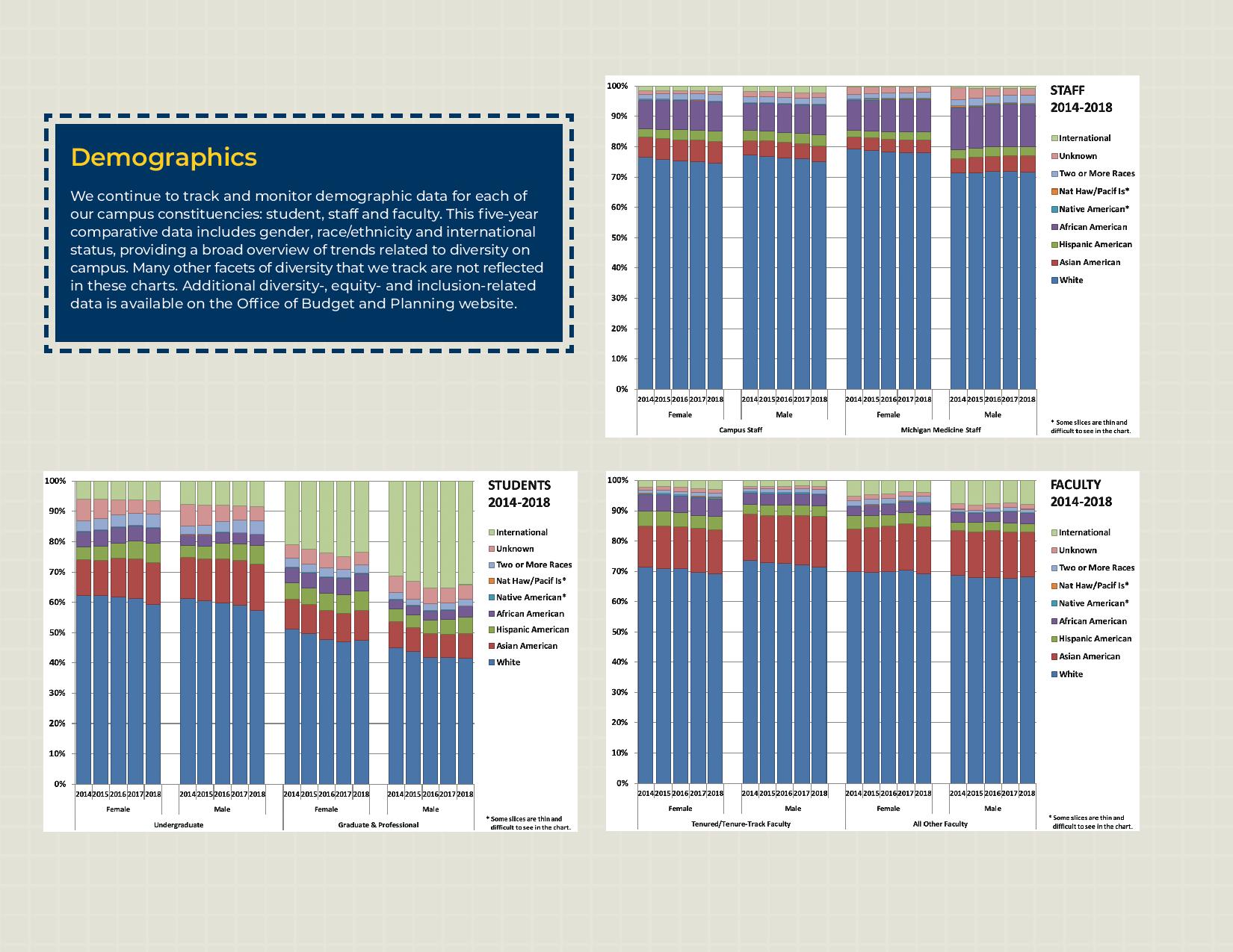 Demographics infographic