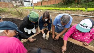 Students digging in garden box