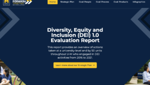 DEI 1.0 Evaluation report homepage screenshot